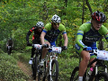 Zdjęcie: phoca_thumb_l_DSC_0724_800x531.JPG