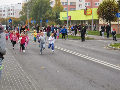 Zdjęcie: f4.JPG