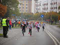 Zdjęcie: f8.JPG