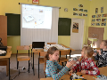 Zdjęcie: b9.jpg