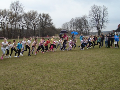 Zdjęcie: a6.jpg