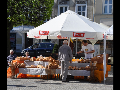 Zdjęcie: b6.jpg