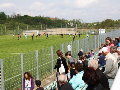 Zdjęcie: f9.jpg