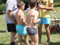 Zdjęcie: c9.jpg
