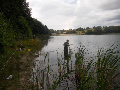 Zdjęcie: a8.jpg