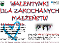 Zdjęcie: 