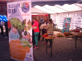 Zdjęcie: DSC_0351.JPG