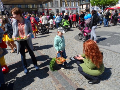 Zdjęcie: SAM_4394.JPG