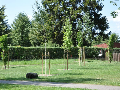 Zdjęcie: garnier 064.JPG