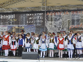 Zdjęcie: 05.jpg