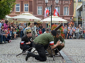 Zdjęcie: DSC_0428-800.jpg
