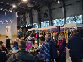 Zdjęcie: DSC_0264.jpg