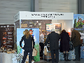 Zdjęcie: DSC_0270.jpg