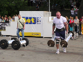 Zdjęcie: 