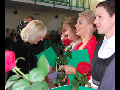 Zdjęcie: 93d.jpg