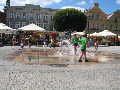 Zdjęcie: 95.jpg