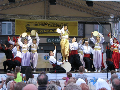 Zdjęcie: n8.jpg