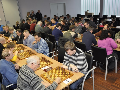 Zdjęcie: _DSC2508.JPG