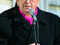 Zdjęcie: DSC_7226.jpg