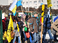 Zdjęcie: b9.jpg