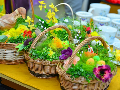 Zdjęcie: DSC_7896.jpg