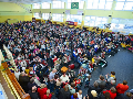 Zdjęcie: DSC_7928.jpg
