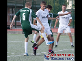 Zdjęcie: P1015423 kopia.jpg